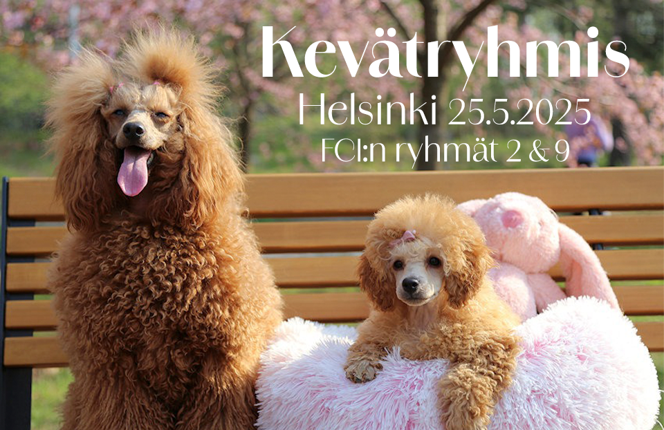 Kevätryhmis – Helsinki RN 25.5.2025