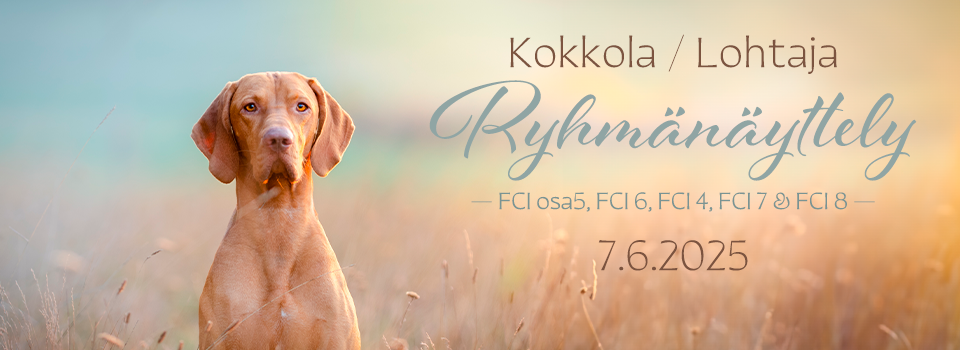 Kokkola/Lohtaja ryhmänäyttely 7.6.2025