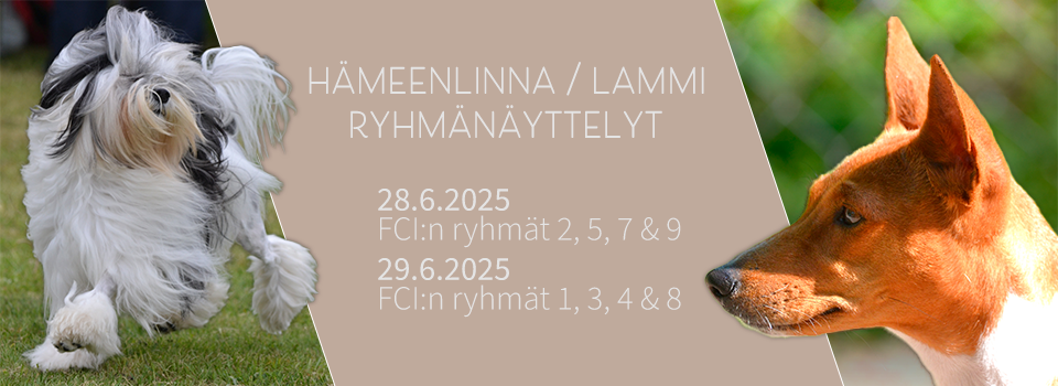 Hämeenlinnan/Lammin ryhmänäyttelyt 28.6. & 29.6.2025