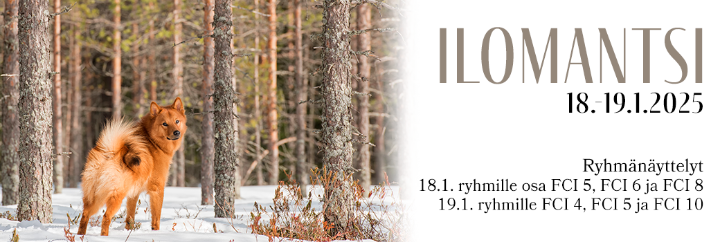 Ilomantsin ryhmänäyttelyt 18.1. & 19.1.2025